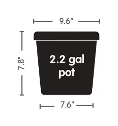 AutoPot 3.9 or 2.2 Gallon Pot