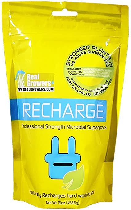 Real Growers Recharge 16 Ounce
