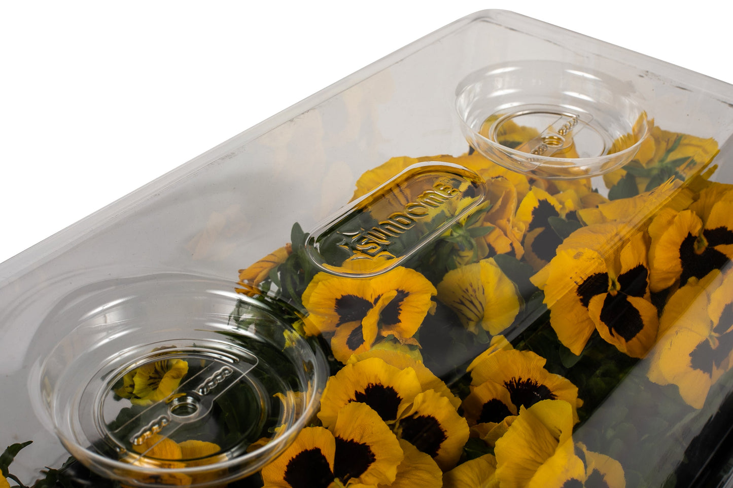 SUNDOME 7.5 Inch Multi-Vented Humidity Dome