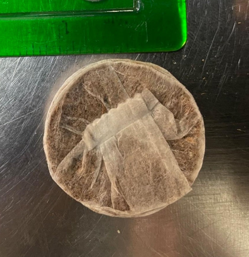 Closed Bottom Organic Plugs