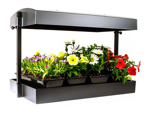 LED Grow Light Garden, Black