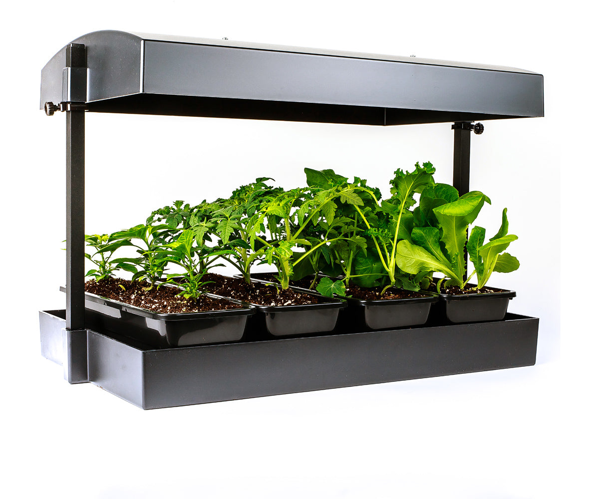 LED Grow Light Garden, Black