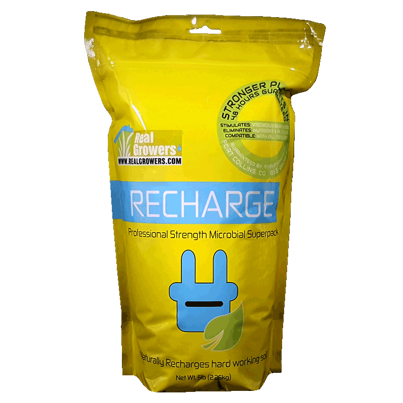 Real Growers Recharge