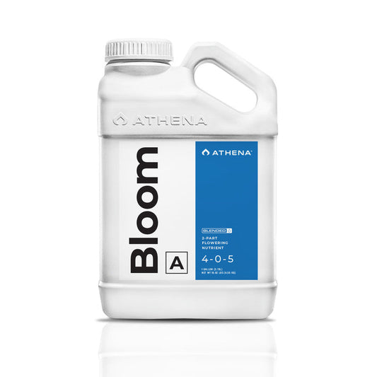 Athena Blended Bloom A