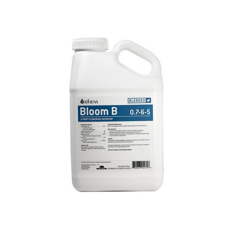 Athena Blended Bloom B