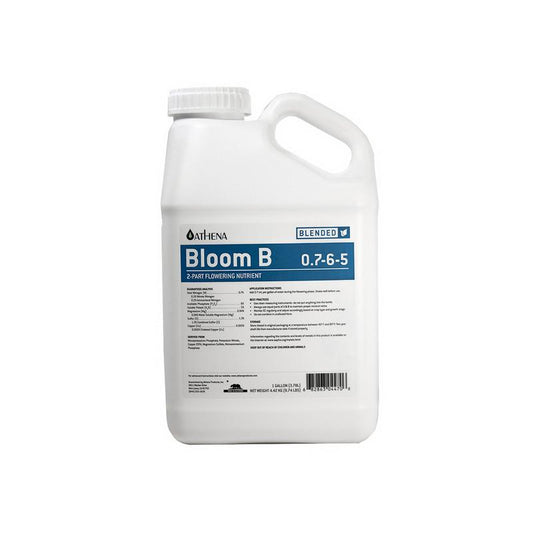Athena Blended Bloom B
