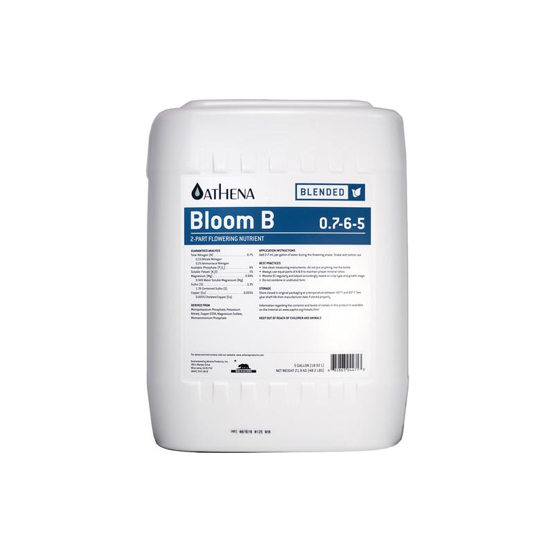 Athena Blended Bloom B