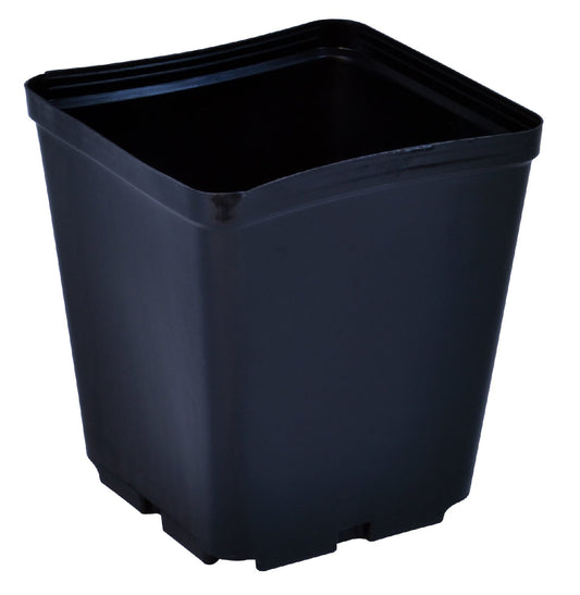Gro Pro Square Plastic Pot 5.5 x 5.5 x 6 Inch