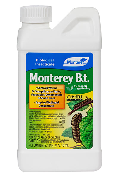 Monterey B.T. 1 Pint