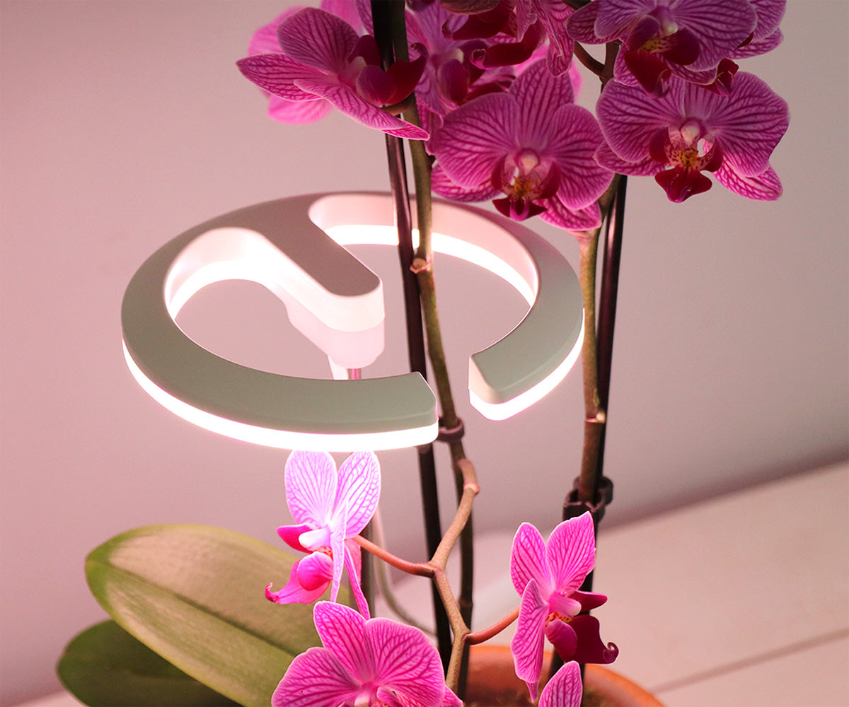 Halo 360 LED Plant Light