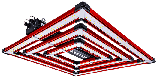Photontek SQ300W PRO LED