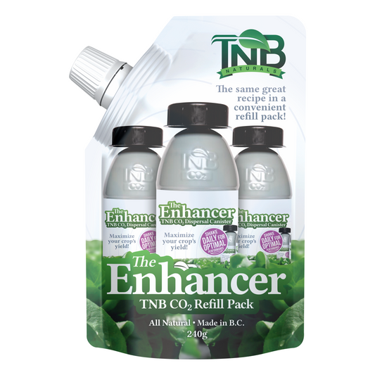 https://cdn.shopify.com/s/files/1/0362/2010/8933/products/TNB_Shopify_PRODUCT_REFILL_PACK_1024x1024_2x_593bdd0d-31bb-4c1c-95c7-cf55c59d732c.png?v=1617179529