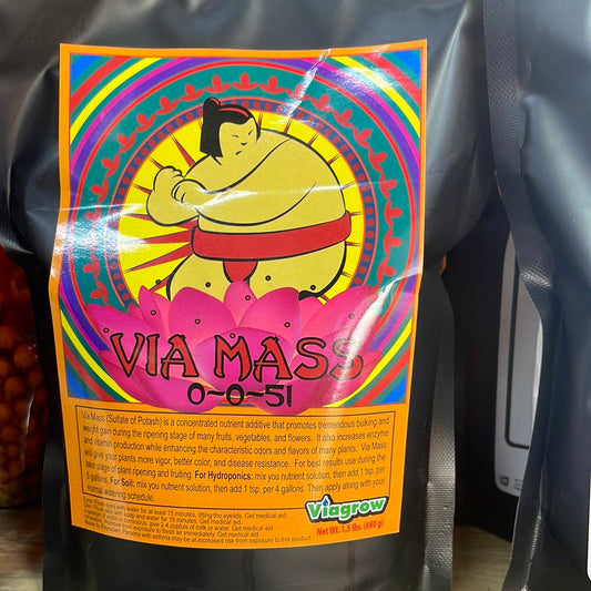 Via Mass 0 - 0 - 51